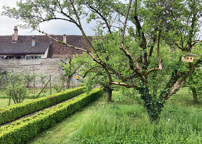 Hörbox Klostergarten 2024
